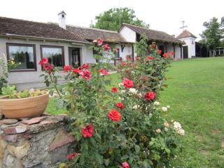Guest House Vila Albedo - 5