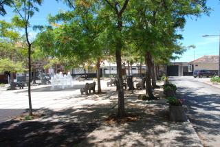 Serenity - Jardim do Mar - 7