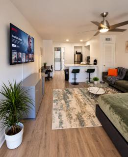 Central Austin Studio Near Q2 & The Domain - 9