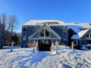 BearQuad- Fireplace, Ski off, Shuttle on - 5