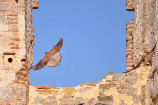Convento Tarifa - 2