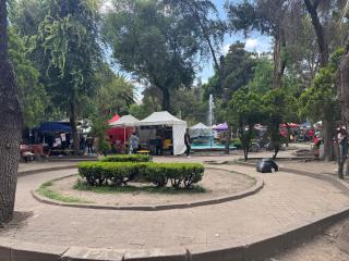 Loft centro CDMX - 8