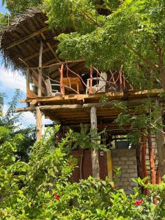 Farming Tree House - 0