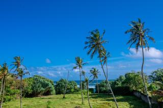 Serenity Breeze Villa - 4