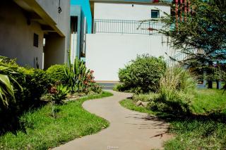 Cannelle - 5