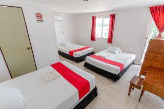 HOTEL LOS CEDROs - 3