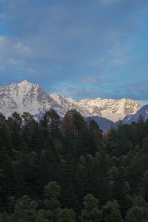 Saraaya Glamps, Dharamshala - 9