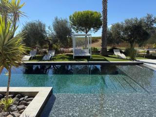 Villa contemporaine avec piscine à débordement dans un domaine viticole - 1