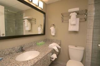 Medicine Hat Inn & Suites - 9