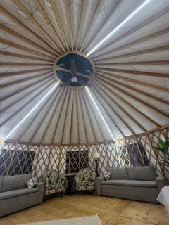 Premium Yurt in a Kobayat Pine Forest - 8