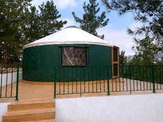 Premium Yurt in a Kobayat Pine Forest - 9