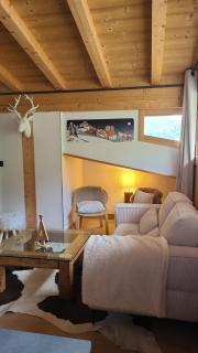 Portes du Soleil T3 "comme un chalet" direct access Morzine Avoriaz - 7
