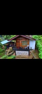 Woodland Hideaway in Sinharaja - 9