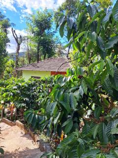 dharimane Homestay - 1