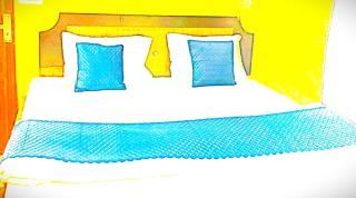 Hotel Dev Nagri - 4