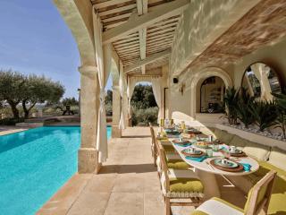 Luxury Villa in front of the famous Pont-du-Gard. - 7
