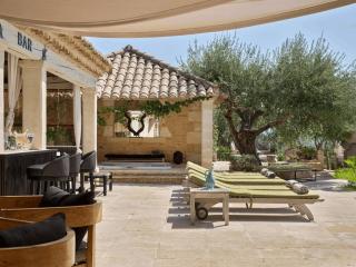 Luxury Villa in front of the famous Pont-du-Gard. - 2