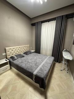SRS Luxury apartment at Tashkent city - 6