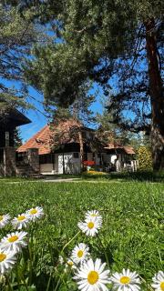 KRALjEVI KONACI ZLATIBOR - 7