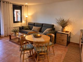Quiet apartment in the heart of town with a large terrace l'Abatanador - 1