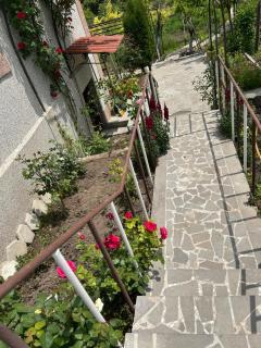 Дом отдыха - 9