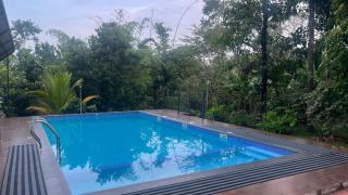 Avocado Orchards - Home Stay - 6