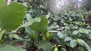 Avocado Orchards - Home Stay - 7