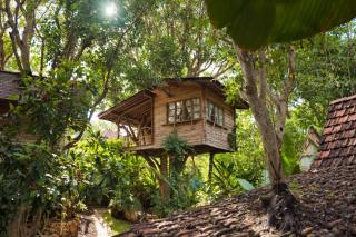 Roots Tree House - Boutique Hotel - Uluwatu - 0