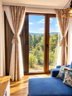 Apartmani Vojvodić Divčibare - 7