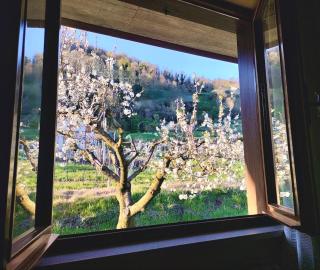La Casa Sulla Collina - 8