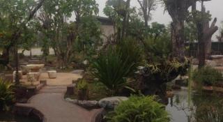 Green Garden Resort - 1