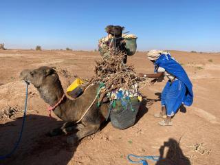 Luxury Camp Desert Maroc Tours - 1