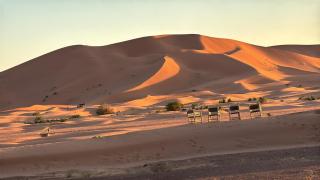 Luxury Camp Desert Maroc Tours - 2