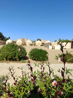 Gazrashek Siwa Hot spring& Trips Haven-Free Pickup Service - 8