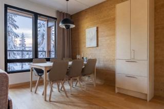 Central Lux Apartment D20 Ski-in Ski-out by Aavalevi - Levi - 1
