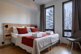 Central Lux Apartment D20 Ski-in Ski-out by Aavalevi - Levi - 8