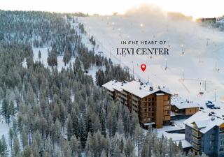 Central Lux Apartment D20 Ski-in Ski-out by Aavalevi - Levi - 9