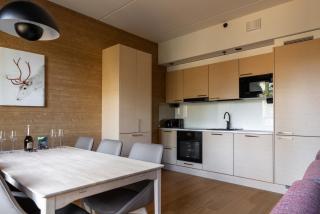 Central Lux Apartment D20 Ski-in Ski-out by Aavalevi - Levi - 4