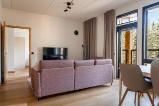Central Lux Apartment D20 Ski-in Ski-out by Aavalevi - Levi - 2