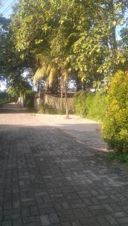 Dwipa's Guest House - 8