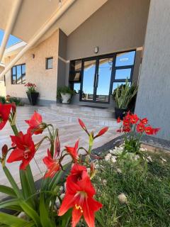 Executive Suites and Spa - 8