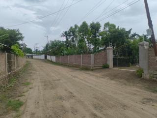 Cosy Nest Homestay - 3
