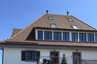 seeglueck I Reichenau - 9