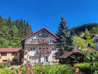 Valea Dorului Guest House - 4