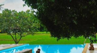 Chomna Resort - 2