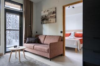 Central Lux Apartment D21 Ski-in Ski-out by Aavalevi - 2