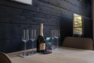 Central Lux Apartment D21 Ski-in Ski-out by Aavalevi - 9