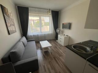 Apartment near city center - 6