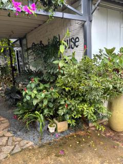 Swing home da lat - 2