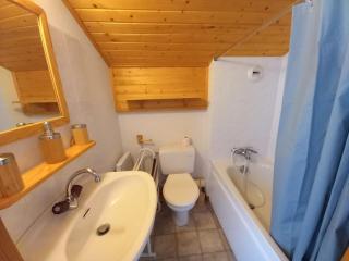 Duplex vue montagne - 4 pers. - FR-1-573-157 - 2